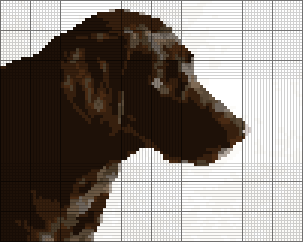Black Labrador as a cross stitch pattern